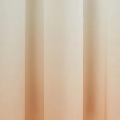 Eyelet Sheer Curtain 2